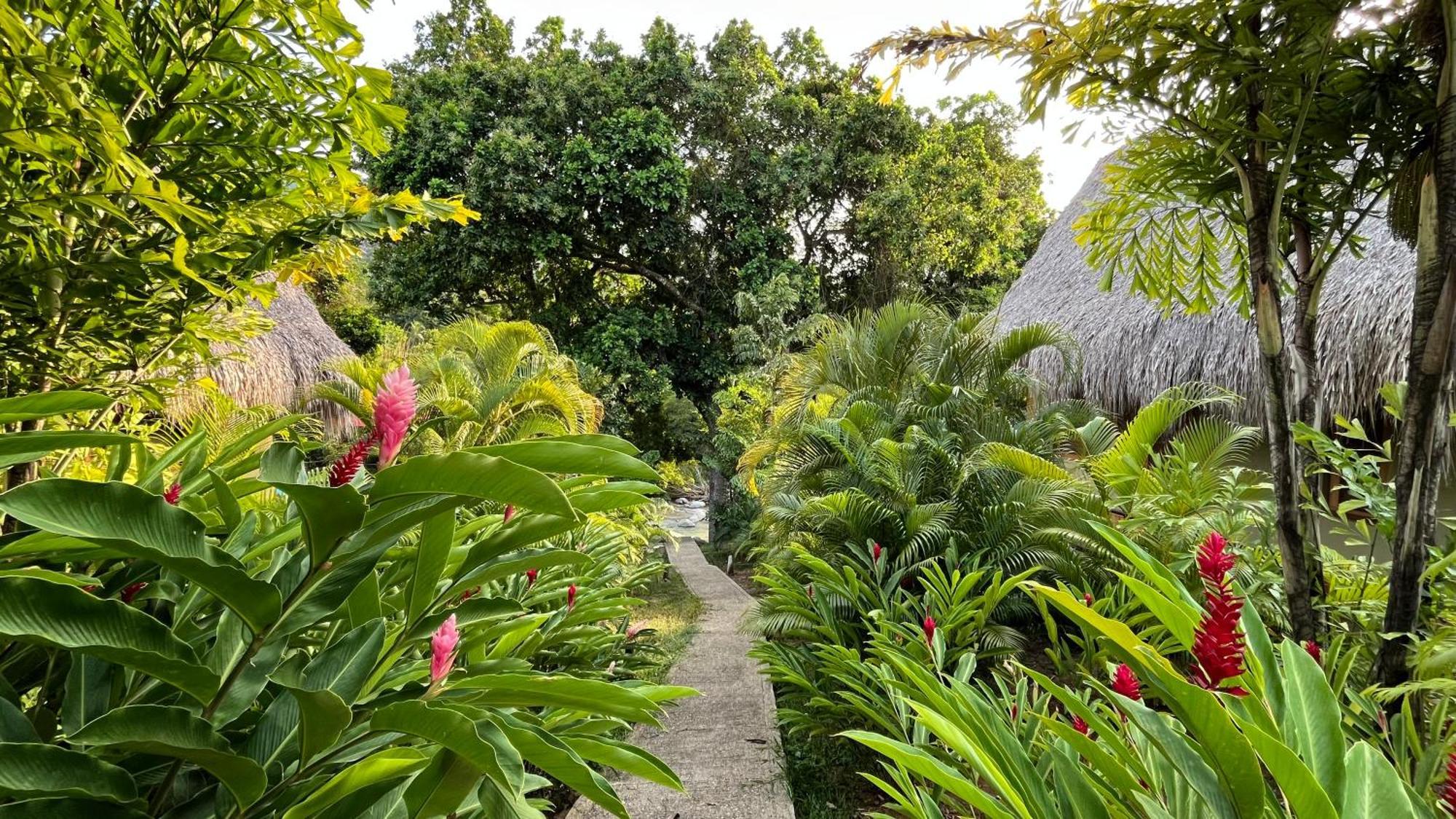 Senda Watapuy Hotel El Zaino Bagian luar foto A path at the resort