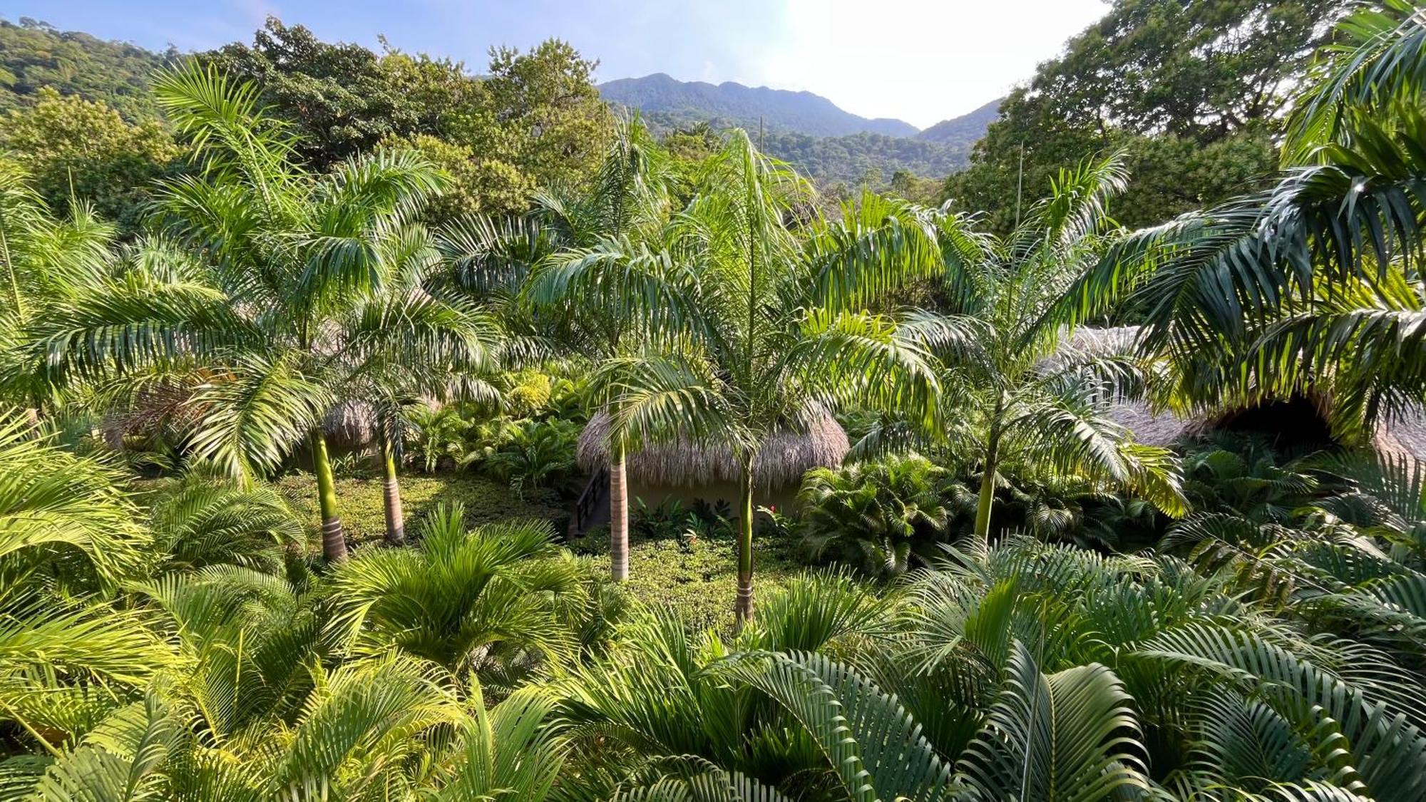 Senda Watapuy Hotel El Zaino Bagian luar foto The Palm House